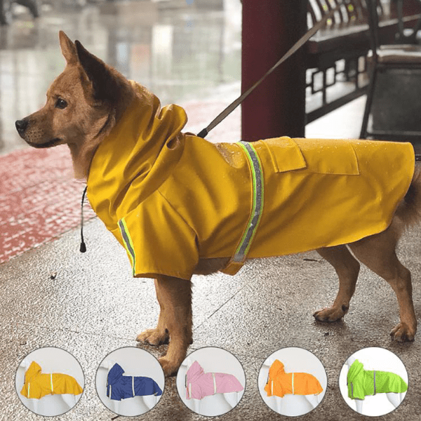 dog rain coat